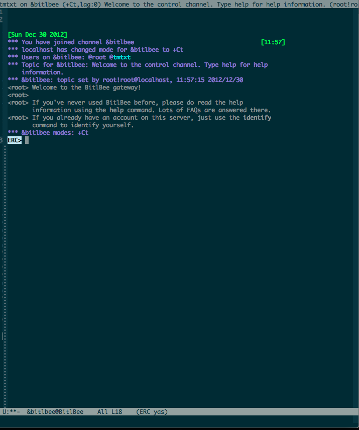 Bitlbee localhost